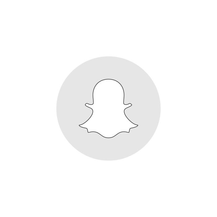 Snapchat Logo: valor, história, PNG Snapchat Logo: valor, história, PNG