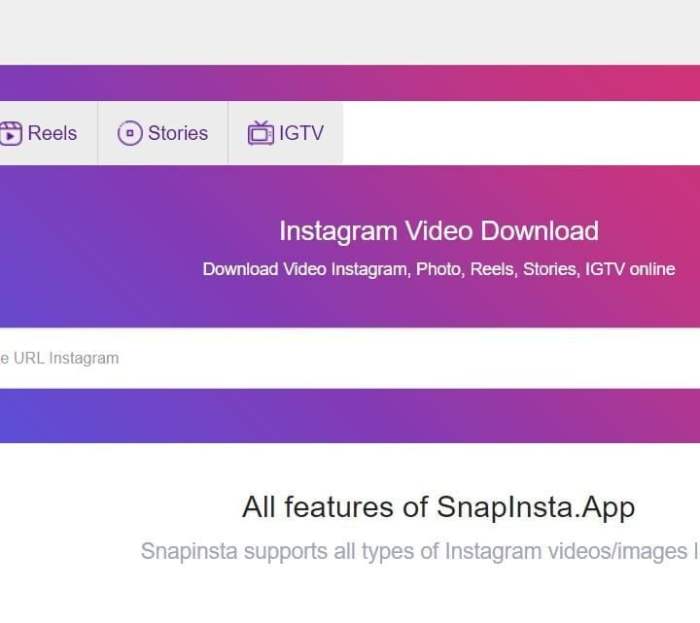 SnapInsta | Instagram Video Downloader APK For Free Snapinsta