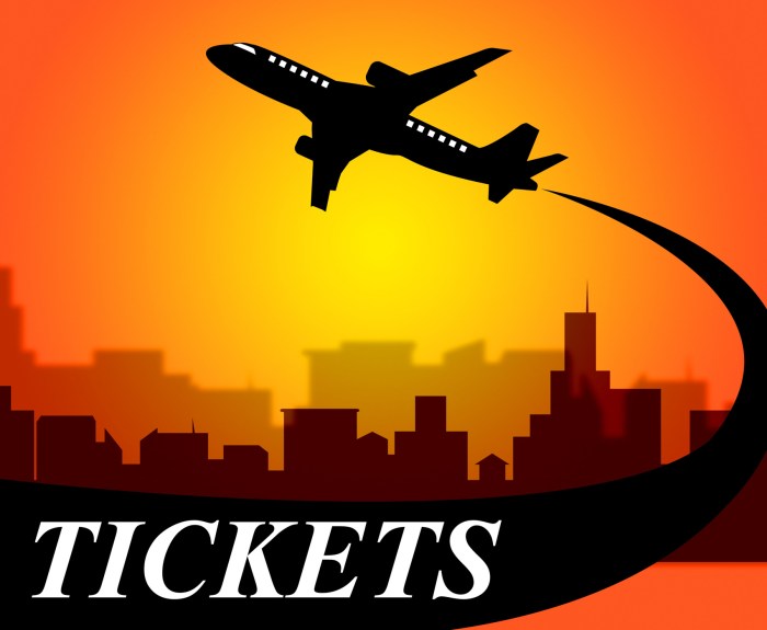 Bilhete eletrônico, o que é, história e o impacto para o turismo Meu Bilhete Digital