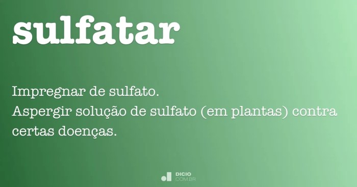 Grupo Sulfatar Electrico Sulfatar Paciente