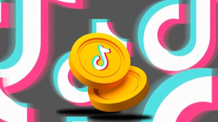Tiktok Coin là gì? Cách mua, nhận thêm TikTok Coins miễn phí Tiktok Coin Exchange