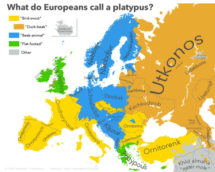 Europeans how see usa america meme likes states funny lot Europeans how see usa america meme likes states funny lot