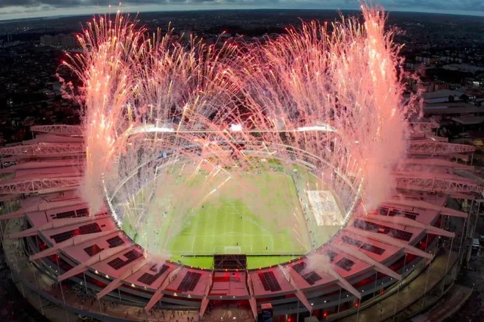 Atlético-MG x Botafogo: onde assistir ao vivo, horário e escalação ...