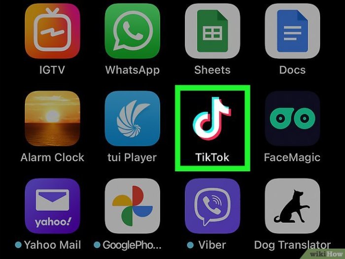 Como Baixar Sons de TikTok (MP3): PC, iOS e Android Como Baixar Sons de TikTok (MP3): PC, iOS e Android
