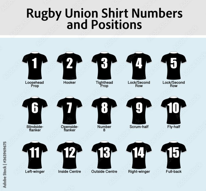 What are the rugby positions