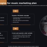 Melhores estratégias de marketing para shows de música de luta