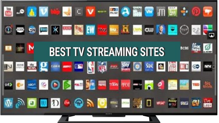 Onde encontrar shows de música de luta gratuitos em streaming