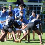 Which country dominates rugby?