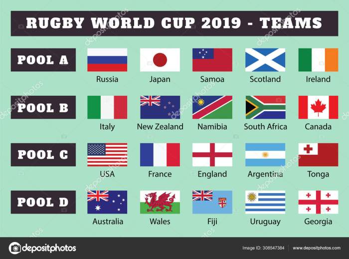 What country plays rugby?