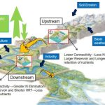 Impacto na biodiversidade da laminação Yamal