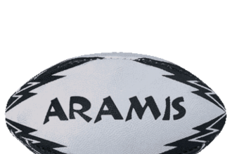 What is the rugby ball called