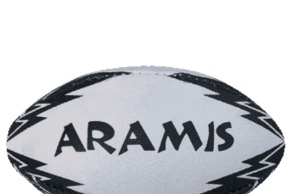 What is the rugby ball called