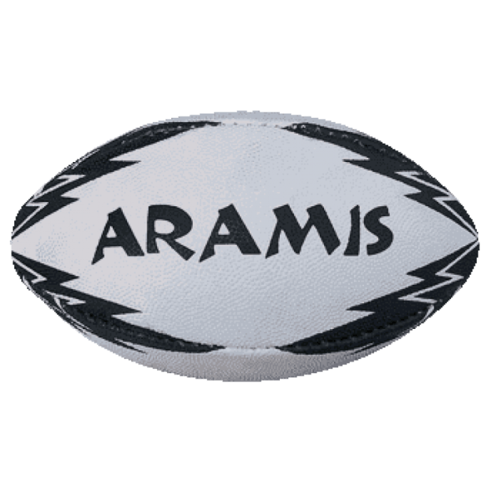 What is the rugby ball called