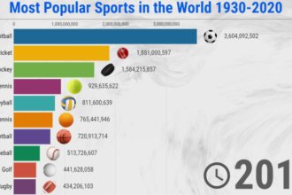 What is the biggest sport in the world?