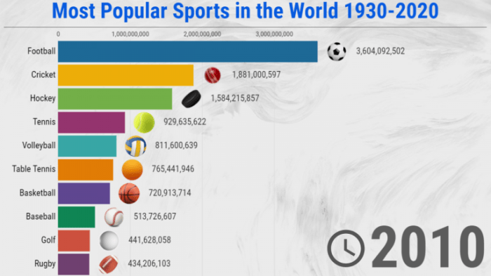What is the biggest sport in the world?