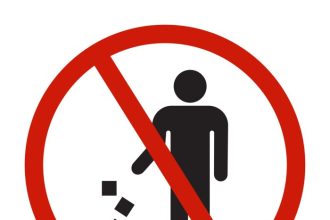 What is not allowed in rugby?