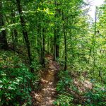 Experiências alternativas em Tennessee fora dos roteiros turísticos
