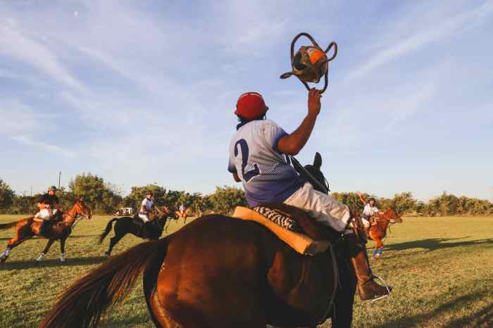 What is England's national sport?