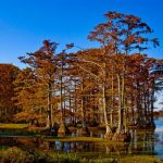 Lugares turísticos escondidos no Tennessee
