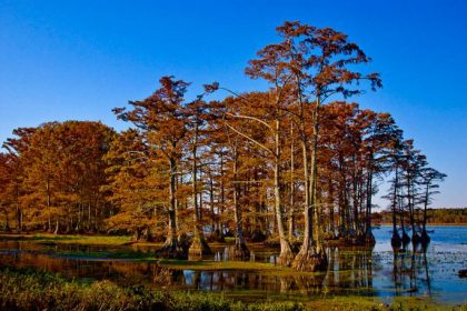 Lugares turísticos escondidos no Tennessee