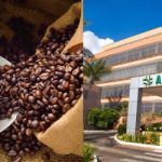 Anvisa Proíbe Café Fake