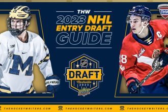 Tommaso De Luca- 2023 NHL Draft Prospect Profile - The Hockey Writers ...