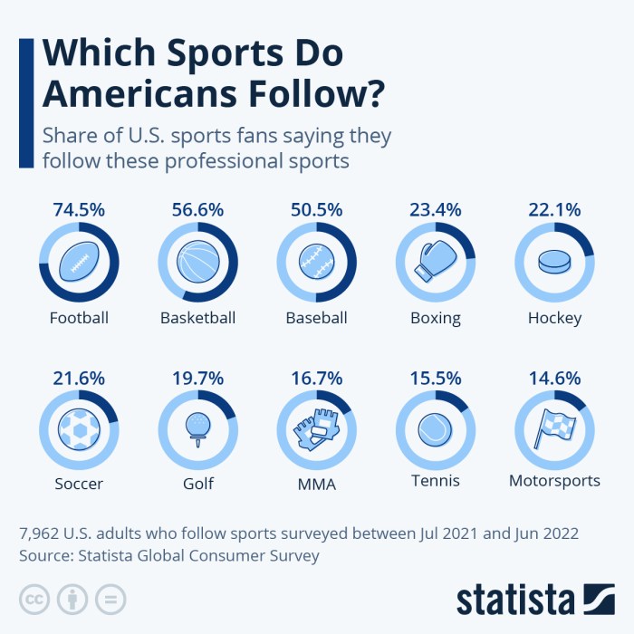 What is Ireland number 1 sport?