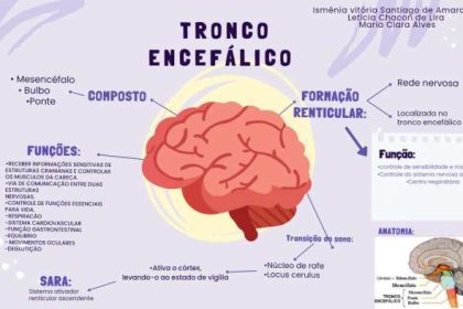 O Tronco Encefálico É Formado Por