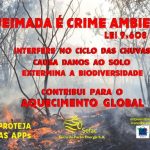 Um Impacto Ambiental Direto Causado Por Queimadas