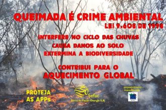 Um Impacto Ambiental Direto Causado Por Queimadas