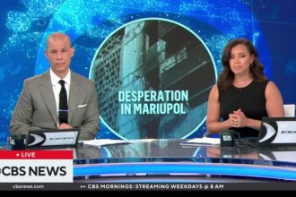 Canal CBS News ganha transmissão ao vivo e gratuita na Pluto TV | TELA ...