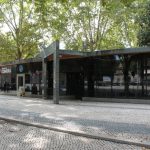 Cartola