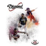 Diamond sports sporting goods harder catalogs