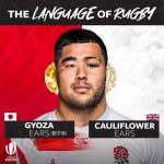 Why do rugby players have cauliflower ears?