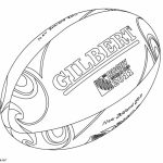 What is a rugby ball called?