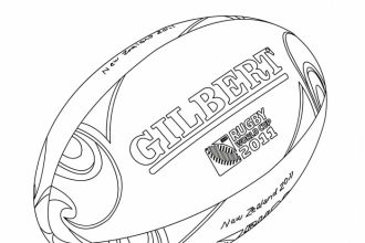 What is a rugby ball called?