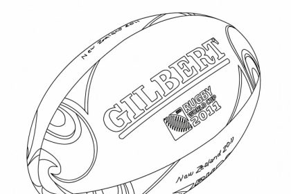 What is a rugby ball called?