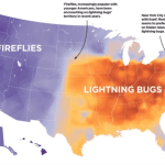 These Maps Highlight the Differences in How Americans Say Things