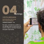 Snapinsta: Descubra Como Baixar Stories e Vídeos do Instagram ...