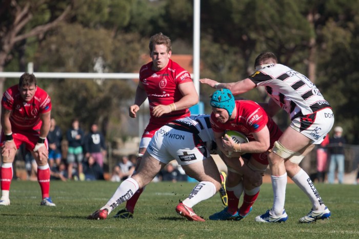 Why don't they wear helmets in rugby?