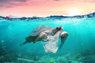 Oceans Awash in Plastic Waste