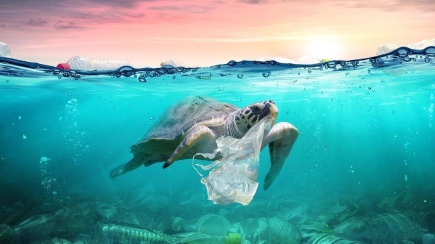 Oceans Awash in Plastic Waste