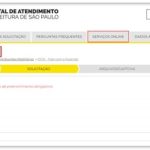 Dicas para acessar com a senha do Portal Gov.br (como fazer login ...