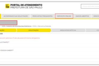 Dicas para acessar com a senha do Portal Gov.br (como fazer login ...