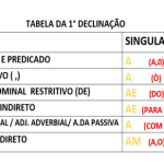 Declinar Significado