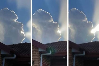 Cada Coisa Que Existe