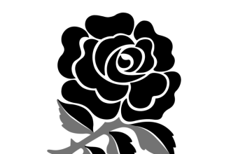 Etzebeth eben south rugby player tall african can africa huge fight beat katie literally taylor stone street weight england as
