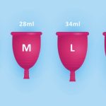 What is the female version of a cup?