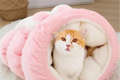 Gato nido saco de dormir mascota sueño gato túnel estera | Etsy