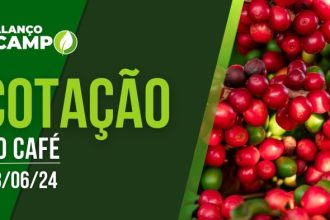 COTAÇÃO DO CAFÉ – 28/06/2024 | Rede Mais